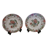Paire d'assiettes en porcelaine