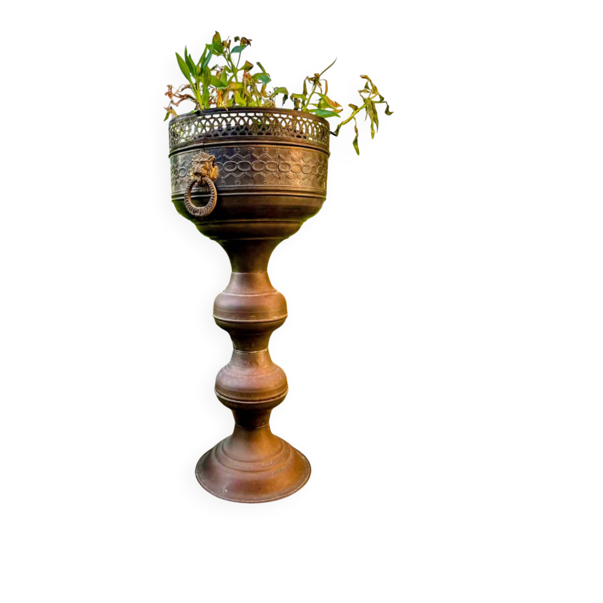Large brass lion planter on a stand in Baroque Art Nouveau style.