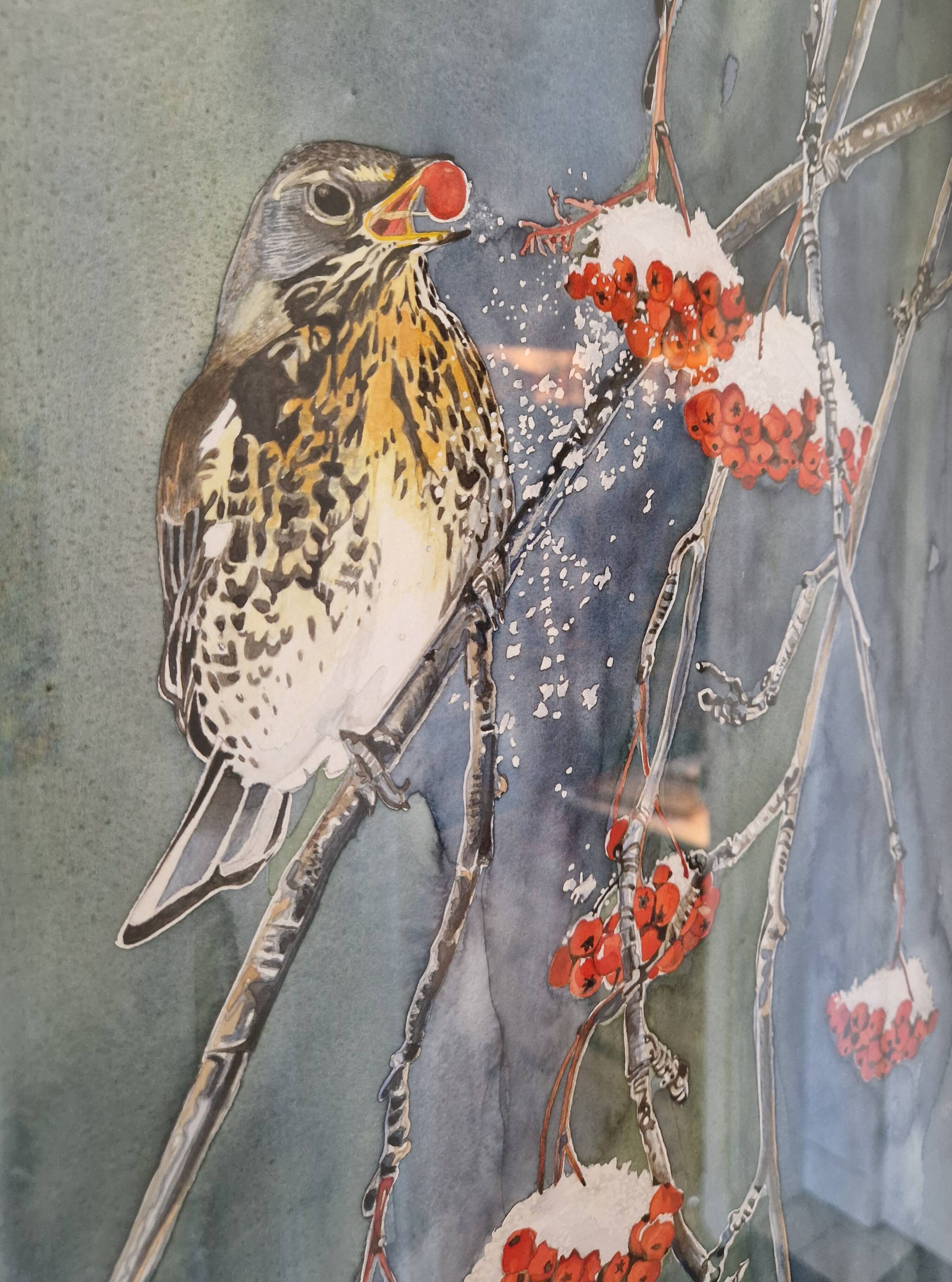 Original framed watercolor bird on snowy rowan tree