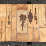 Vintage ceramic coffee table decorated with herbarium decoration Roger Capron