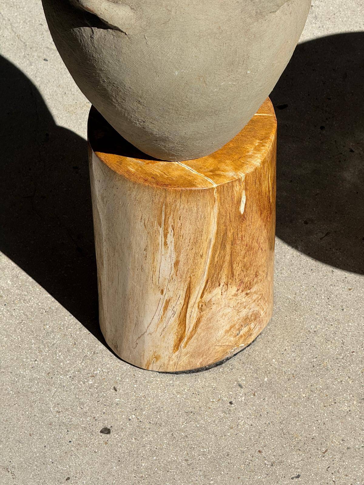 Petrified wood catchall or dish, grey with black rim, D29.5x25.5 -3321