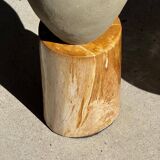 Petrified wood catchall or dish, grey with black rim, D29.5x25.5 -3321