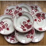 Set of 9 Badonviller Ironstone Soup Plates