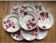 Set of 9 Badonviller Ironstone Soup Plates