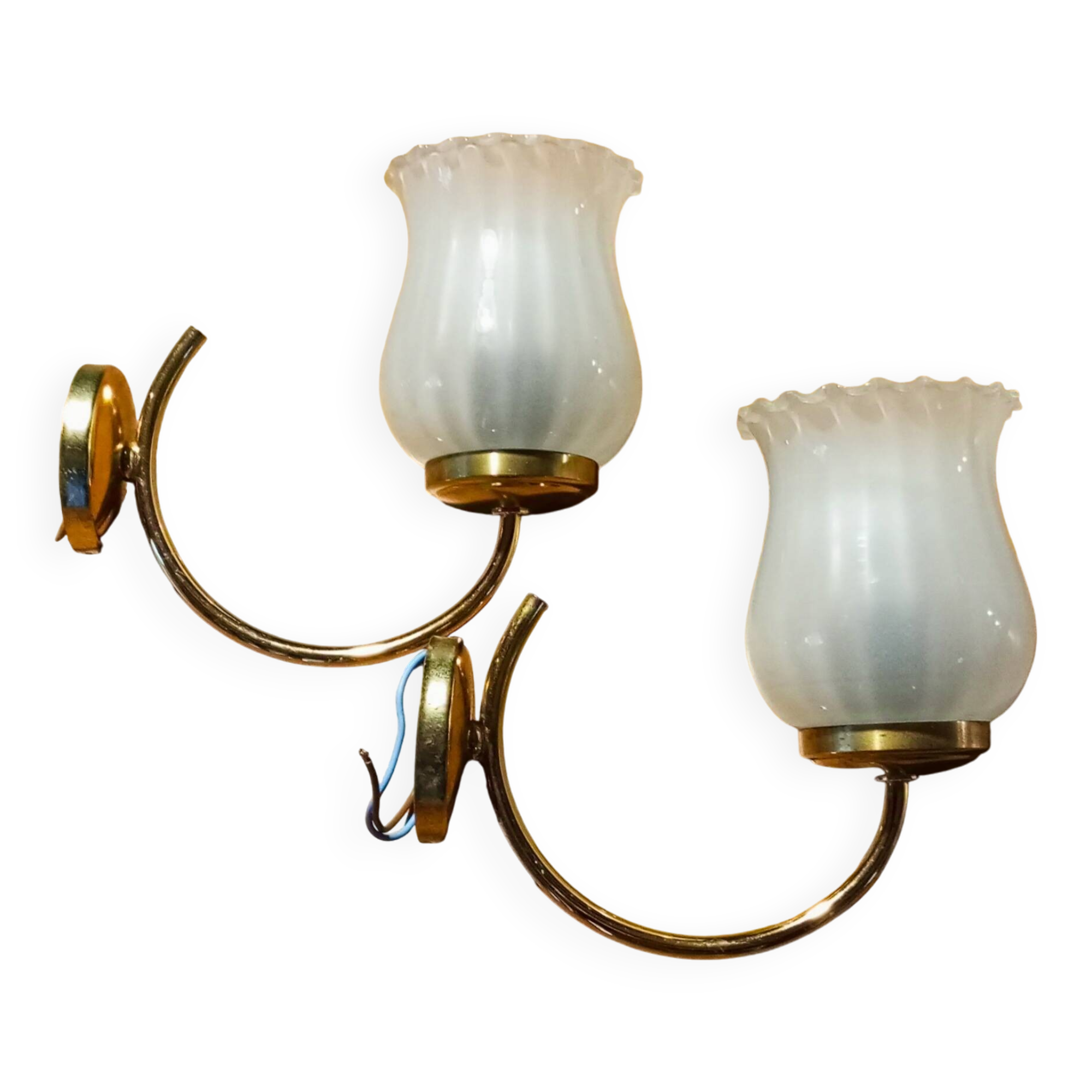 2 tulip wall lights in gold metal