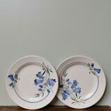 Lot de 2 assiettes vintage motif fleurs bleues campanules estampillée drapeau style Sarreguemines