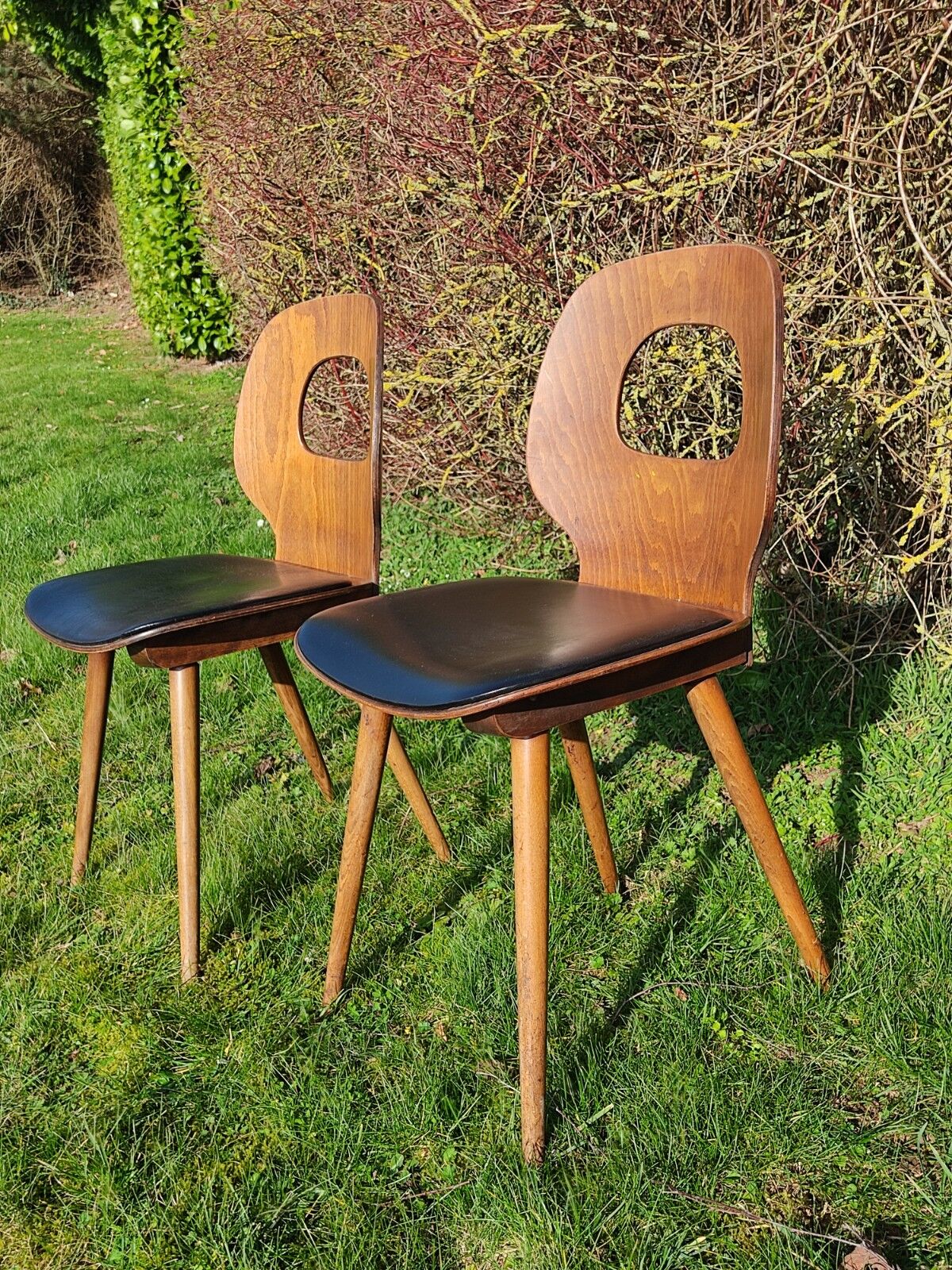 Baumann chairs x2 Ant model
