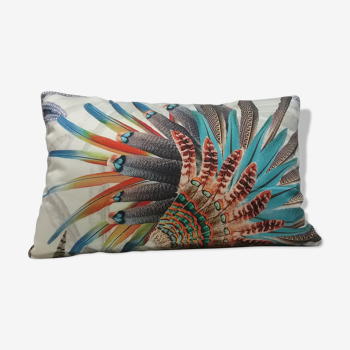 Coussin plumes