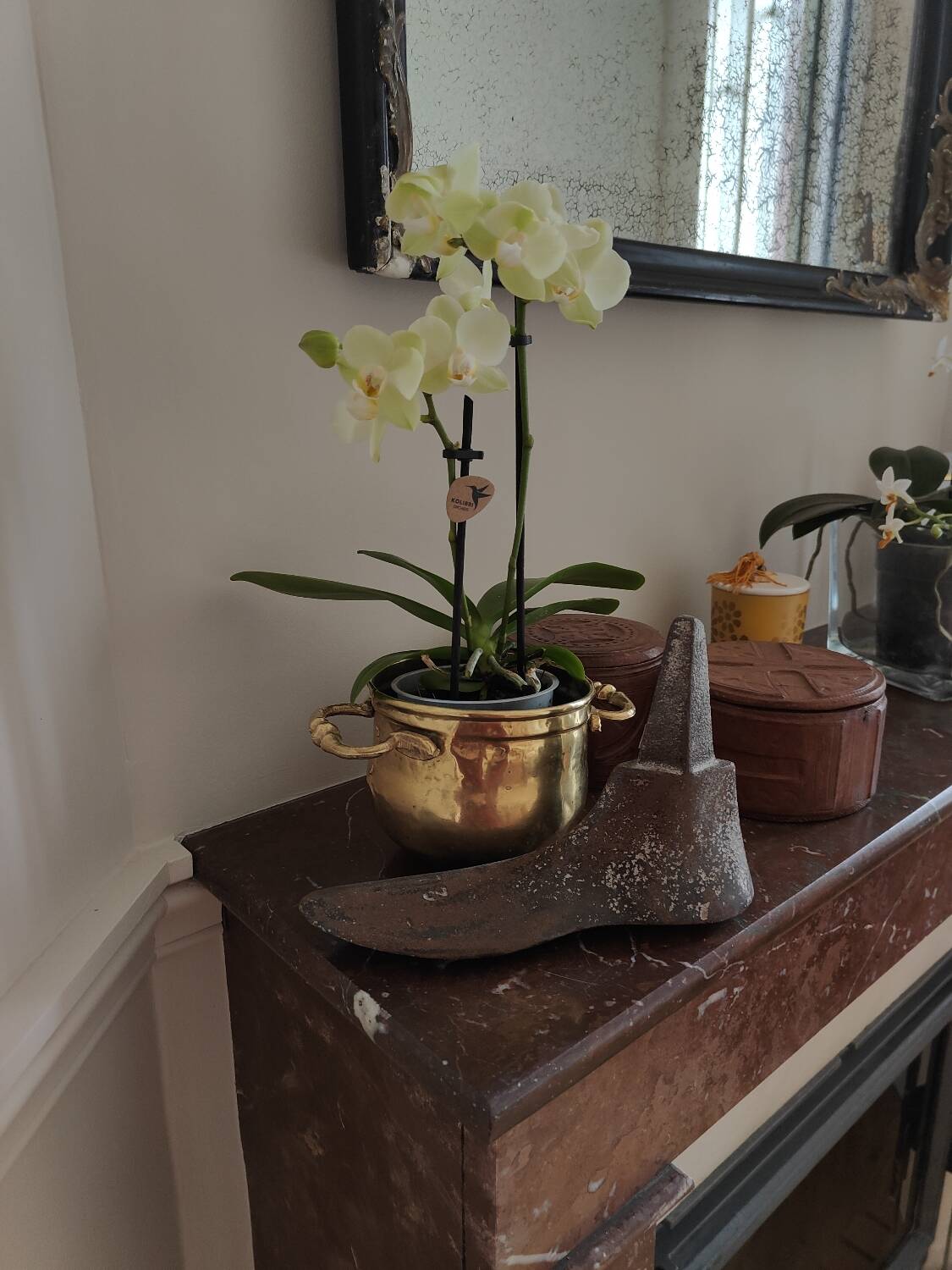 Plant pot