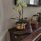 Plant pot