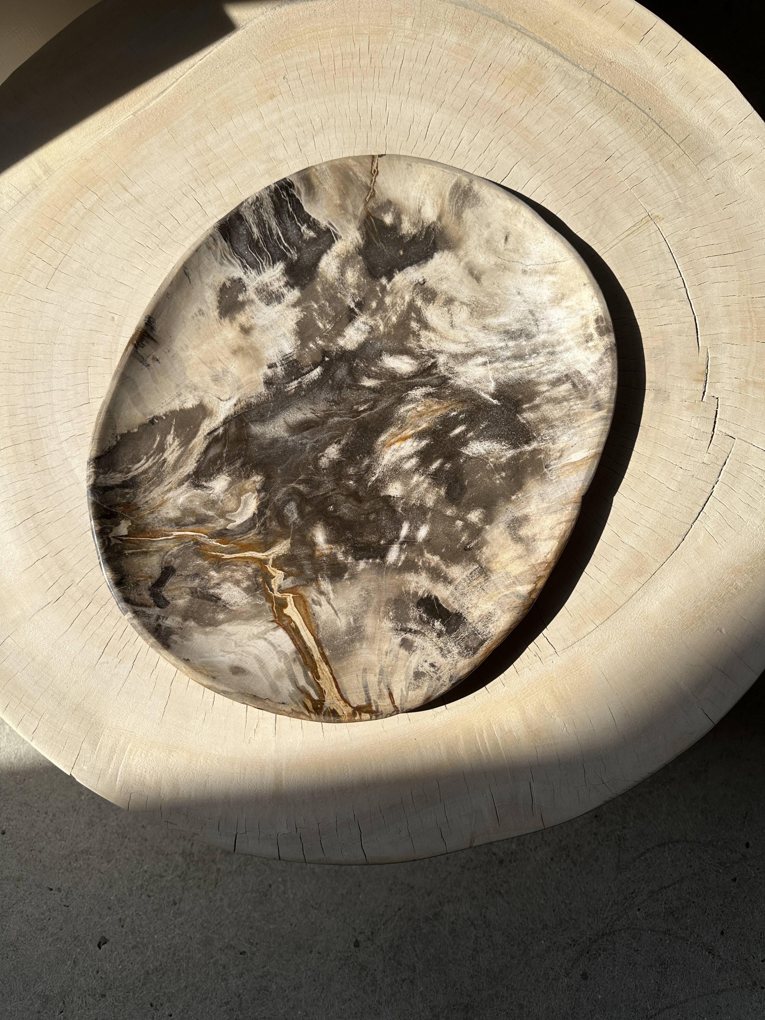 Very large pocket or dish in petrified wood