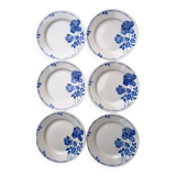 Flat plates Moulin des Loups - St Amand