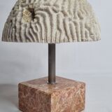 Ancient coral "brain" Diploria labyrinthiformis on base, 19 cm