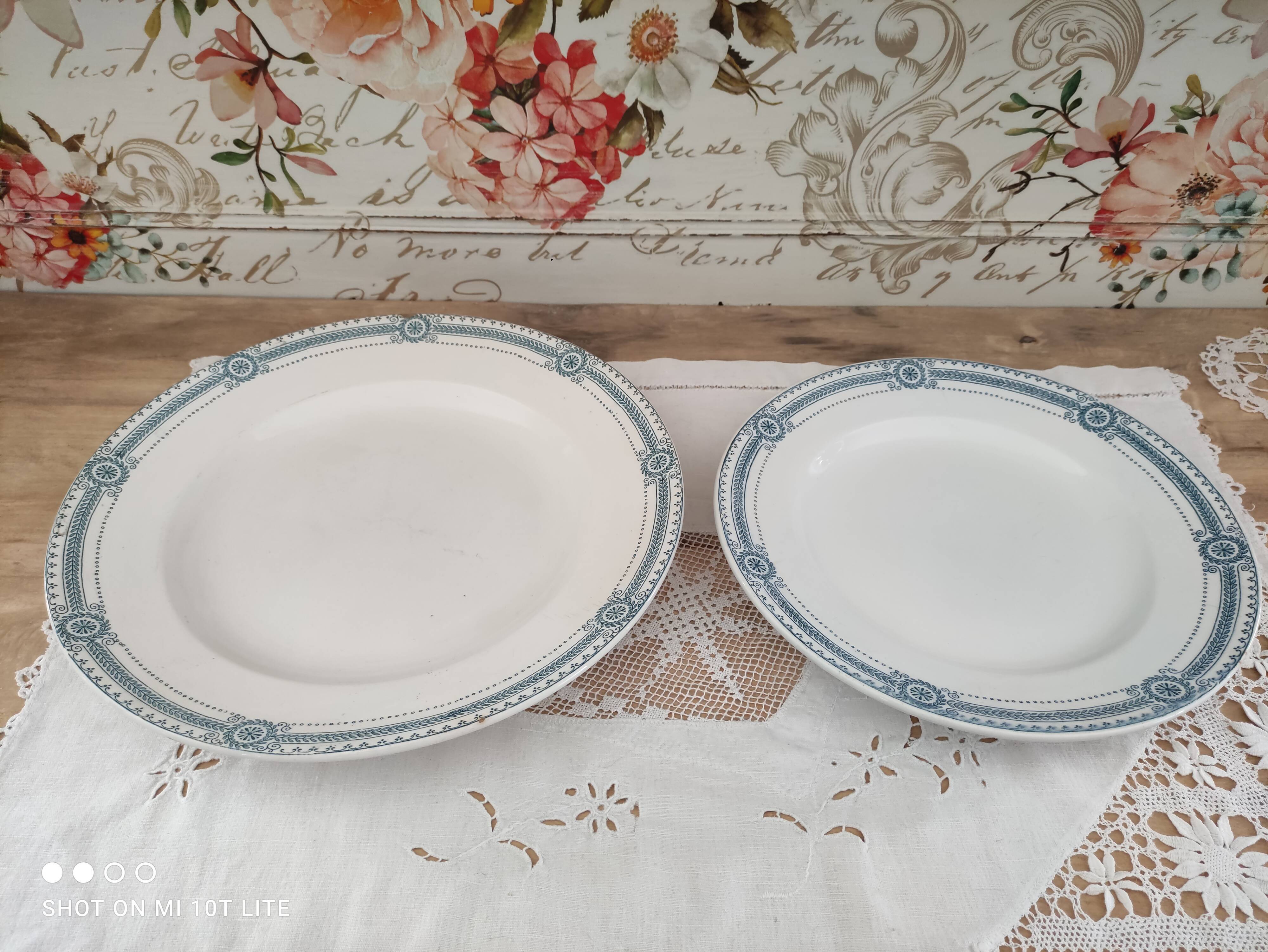 Set of 2 round dishes trundle in Iron Earth Sarreguemines model Carina decoration blue frieze