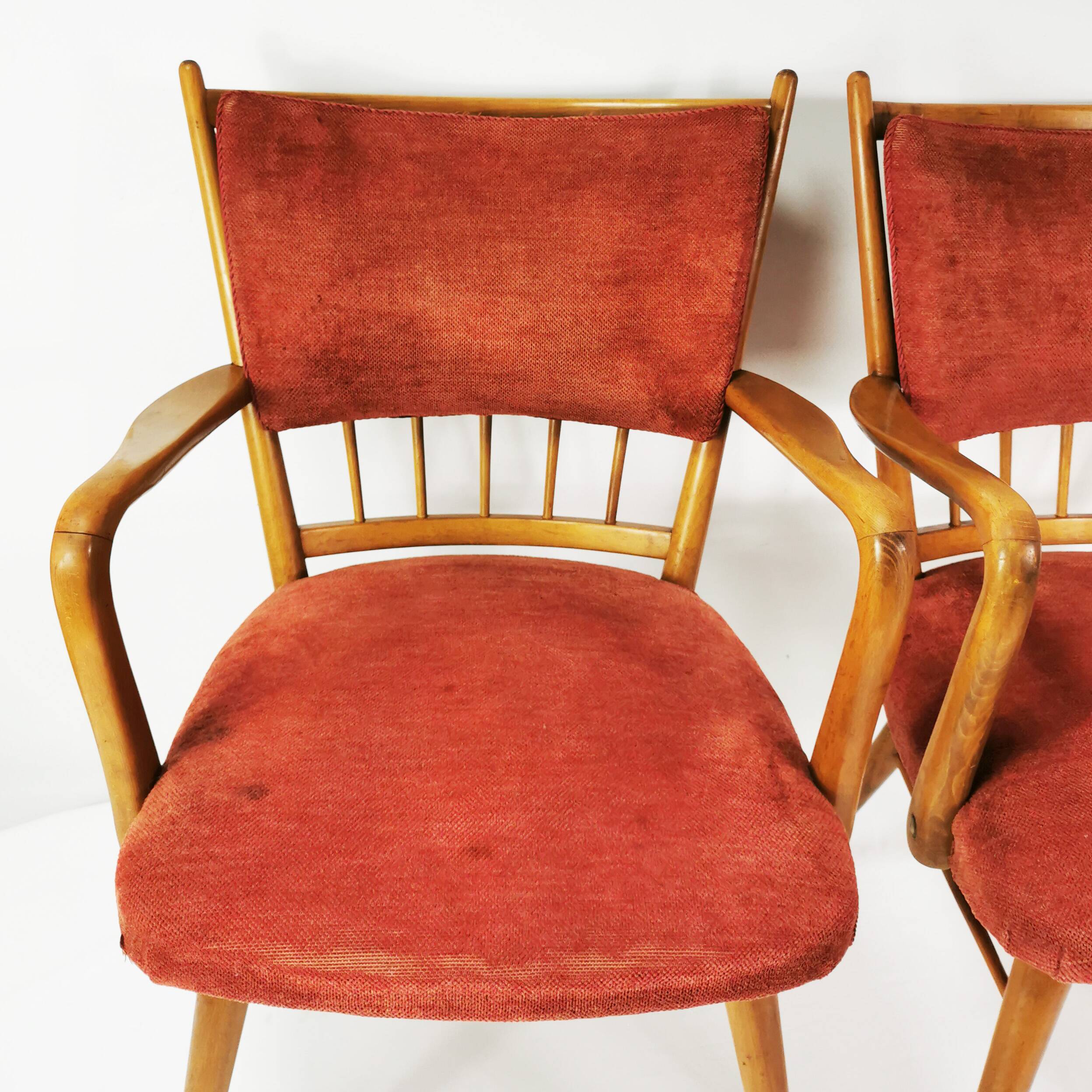 Mid Century Chairs, Casala, Germany 1950s