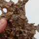 Organic Sculpture Brutalist Modernist Midcentury Gilded Bronze Casting