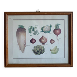 Vegetable painting