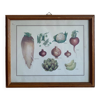 Vegetable painting