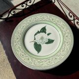 The royal horticultural dinner plate