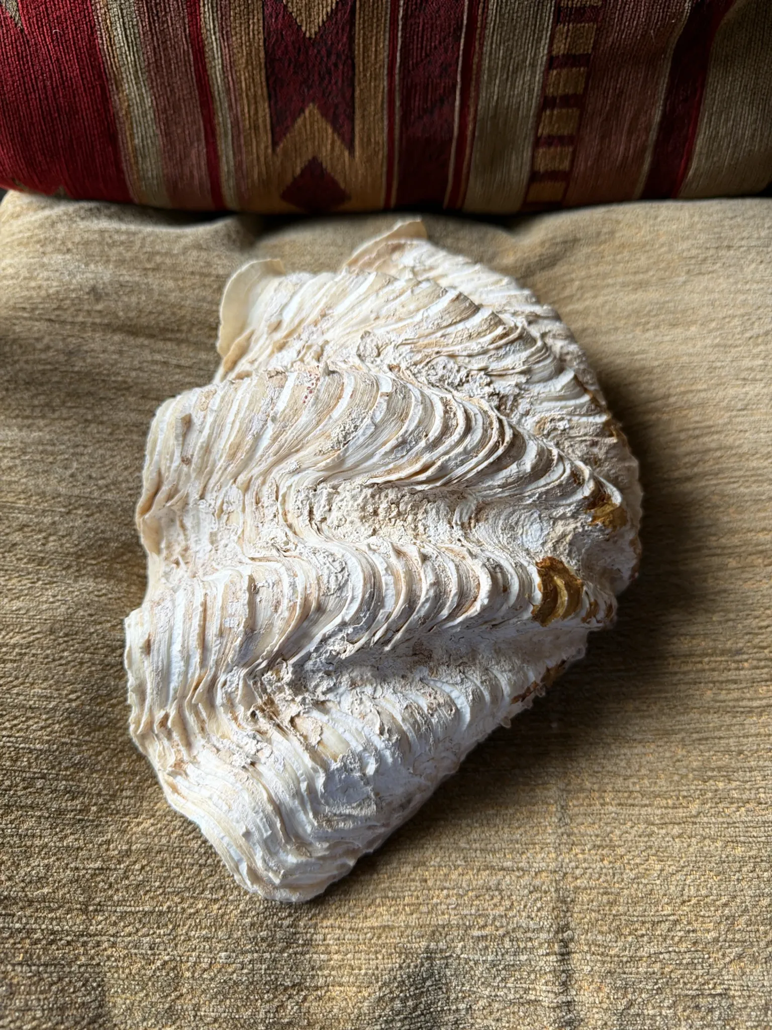 Benedictine 2kg