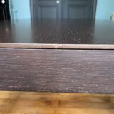 Globo Table Molteni&C