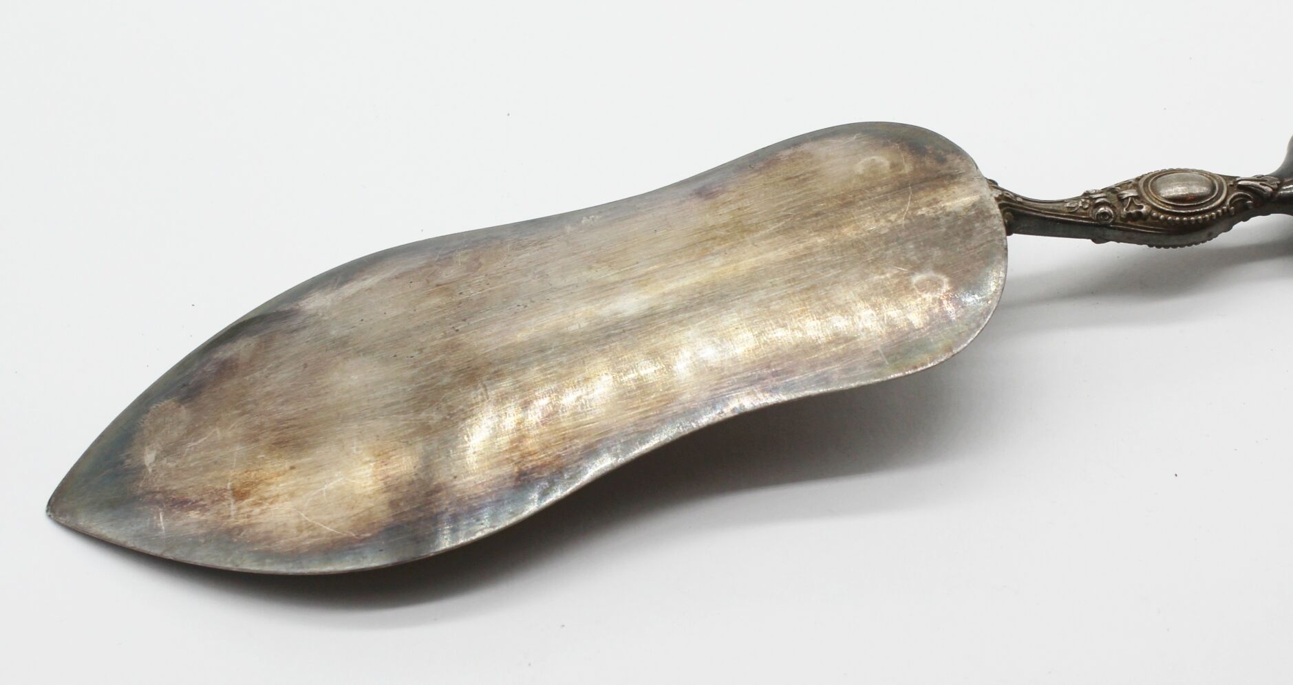 Bayard fish shovel in silver metal