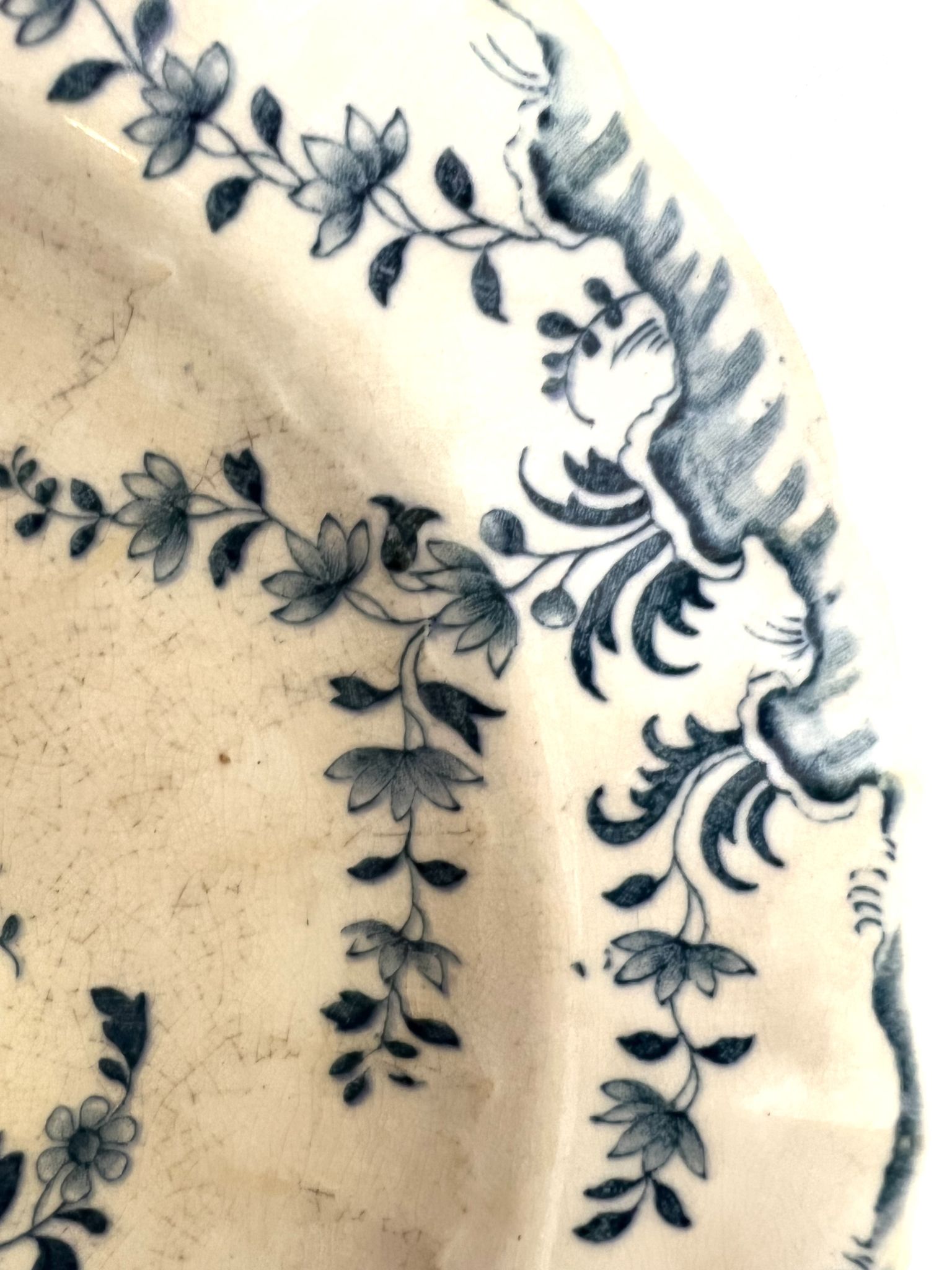 6 assiettes dessert minton montrose 19ème