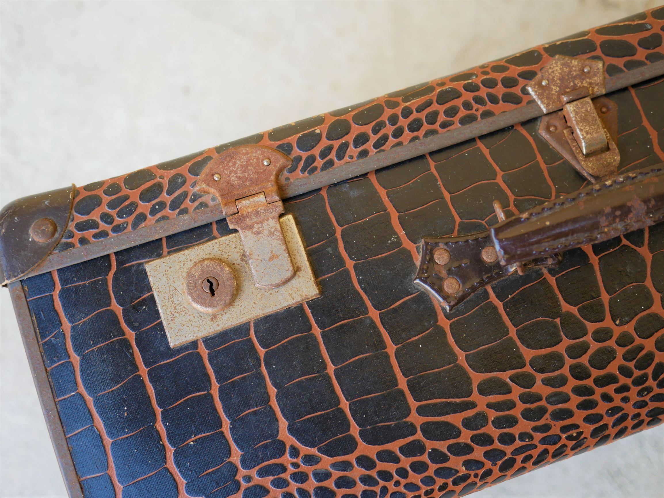 Vintage imitation crocodile case