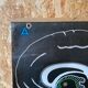 Dr. Auzoux's school poster "The brain"