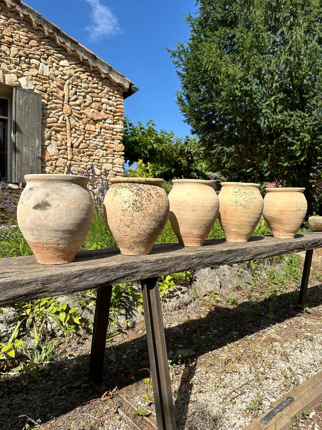 Terracotta paloma pot