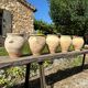 Terracotta paloma pot