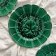4 old plates in Sarreguemines vine leaf slip