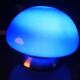 lampe champignon tactile