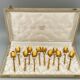 Box set 12 spoonfuls francois frionnet paris metal dore