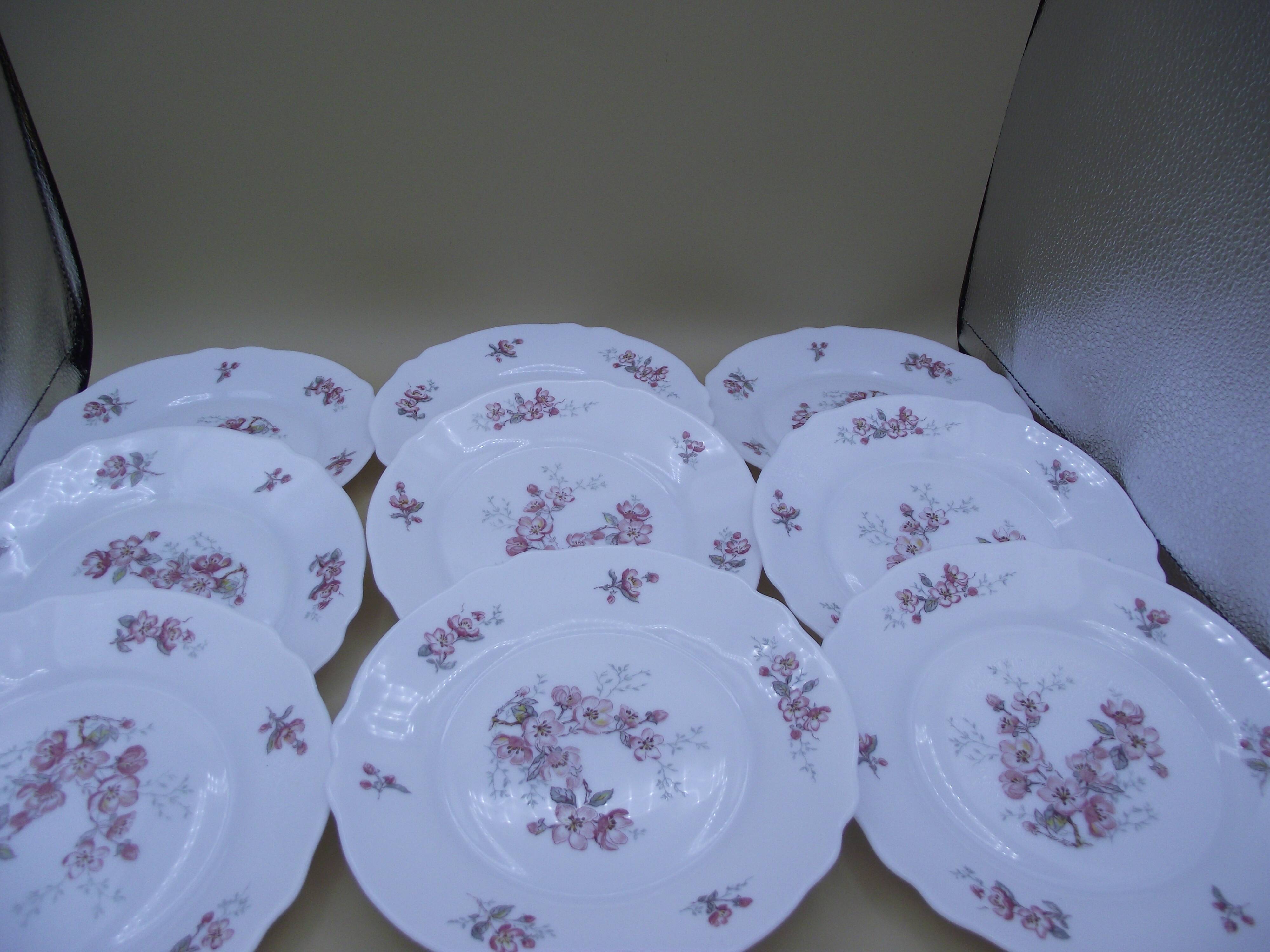 Lot of 9 dessert plates Arcopal France