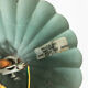 Masca's wheat ear chandelier in aged green and gold metal, 3 fires, year 70/80