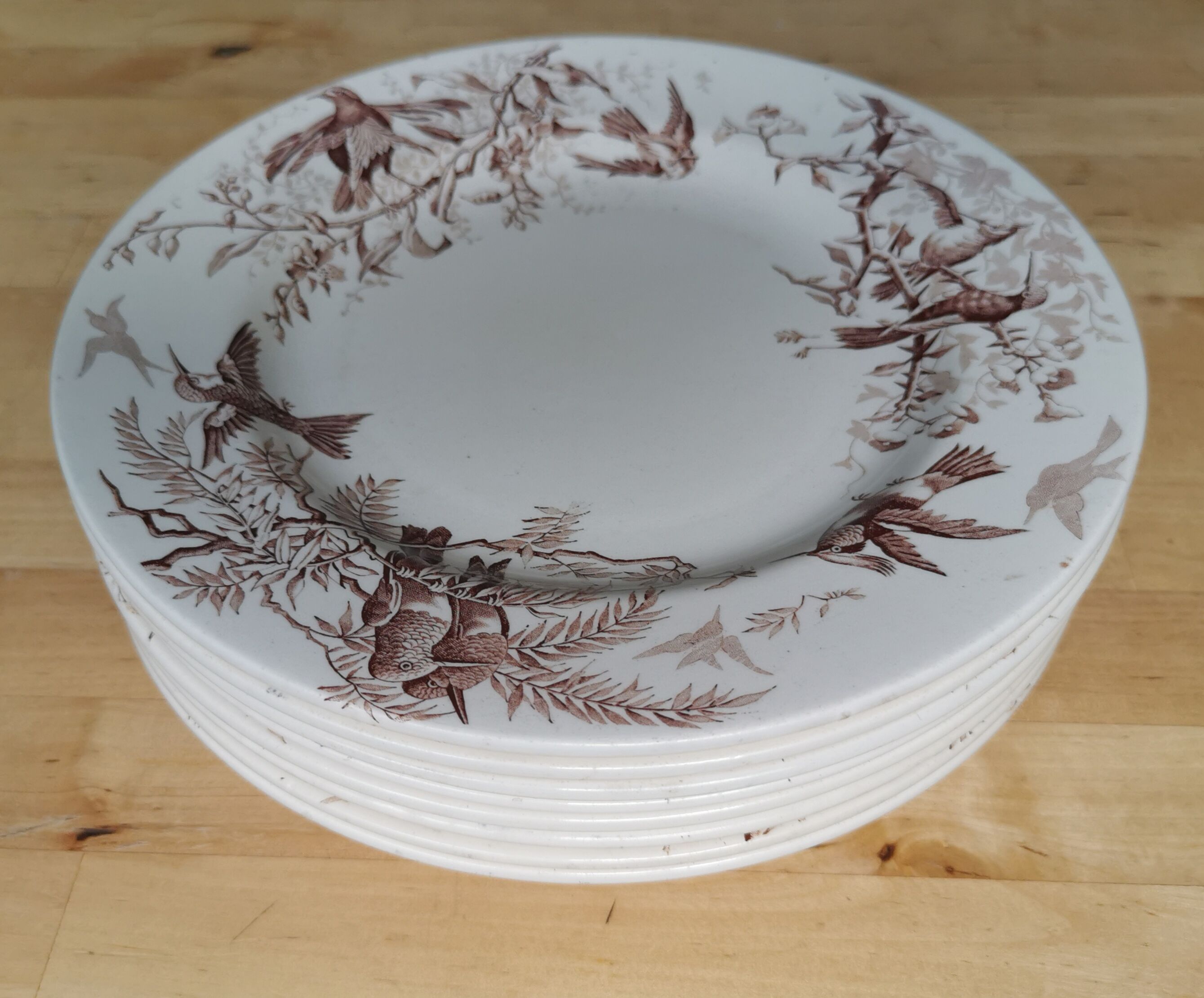 Lot of 8 Colibri luneville plates