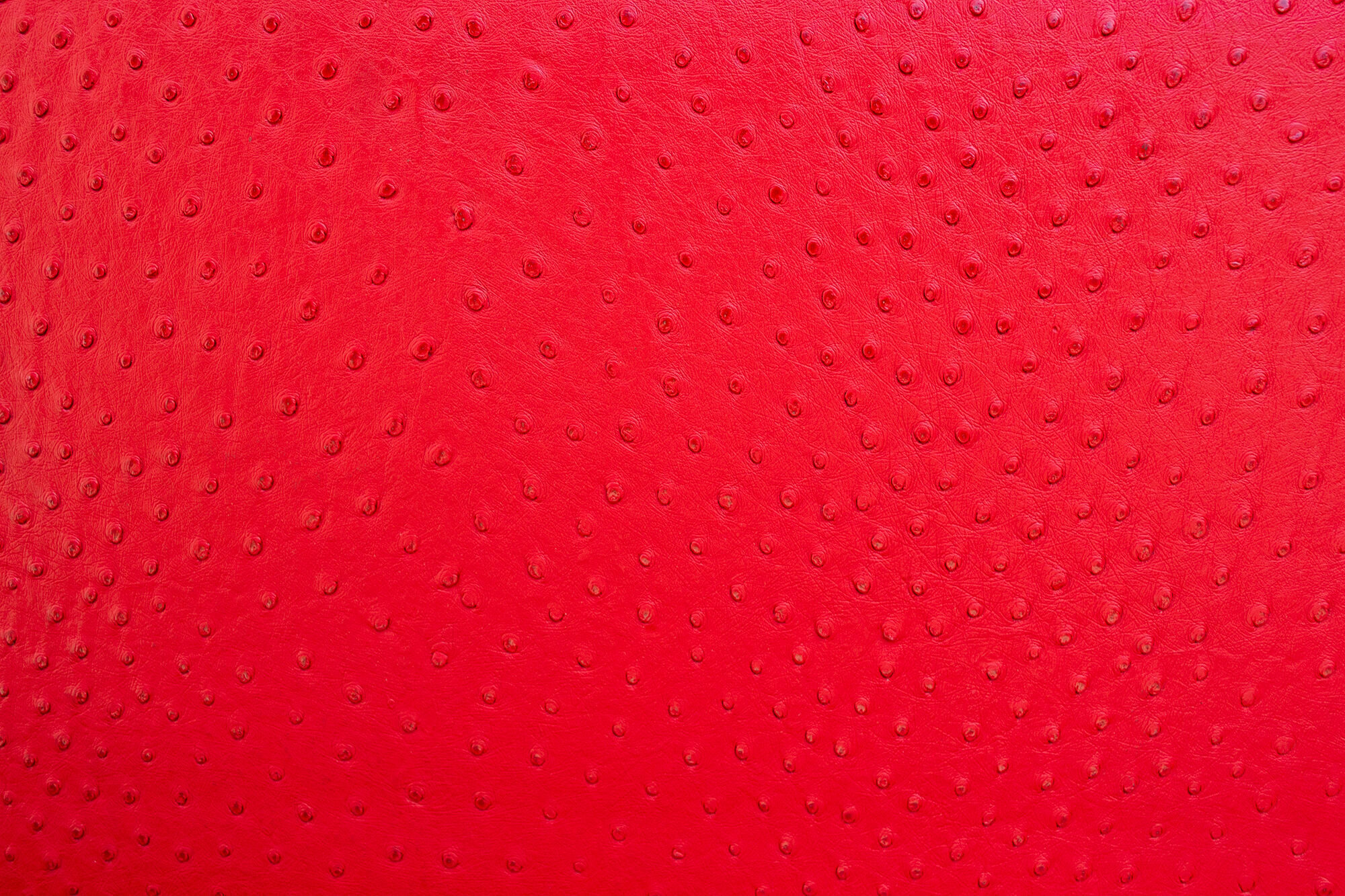 Italian Simone armchairs by Kazuhide Takahama for Gavina, 70's