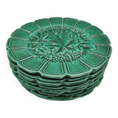 10 ceramic plates with vine decor