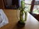 Siliflore en verre atypique