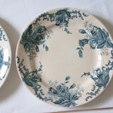 Pair of old flowered plates