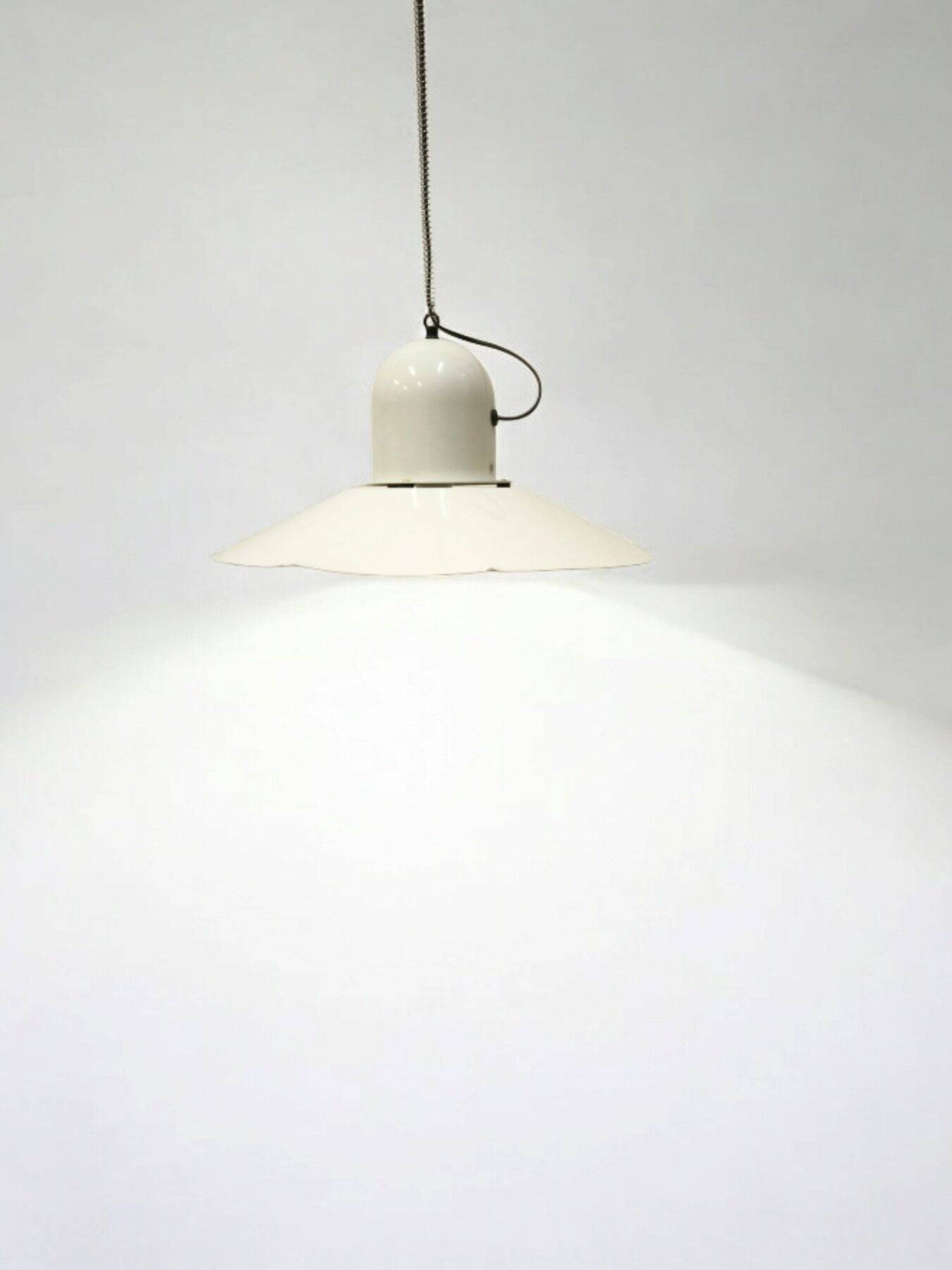 Moinier Creations Lampada a Sospensione 1970 France