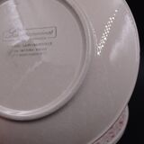 Set of 9 dessert plates in earthenware of Sarreguemines - Décor of pink flowers - 1970