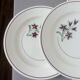 4 flat plates from Salins 210656