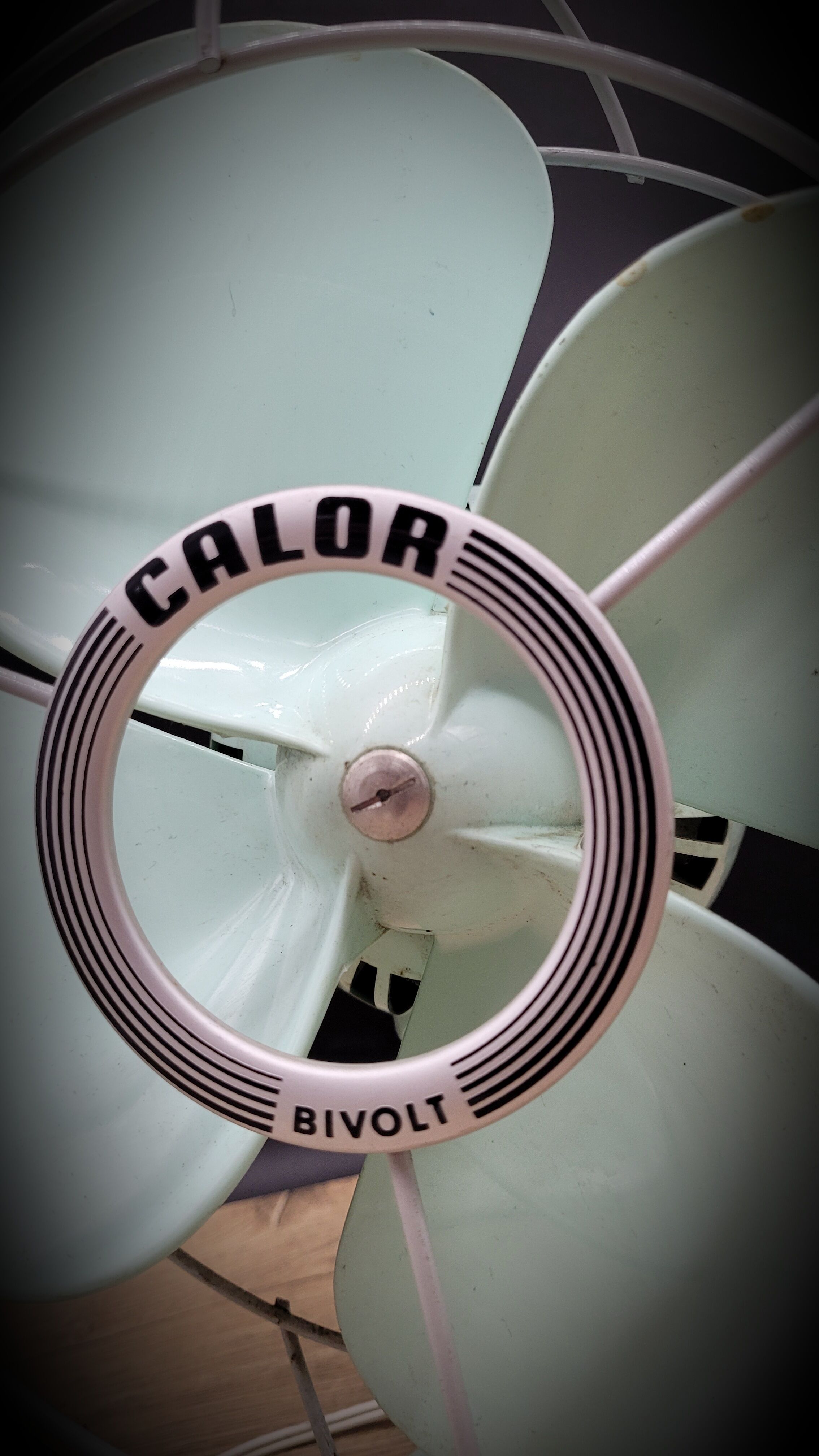Calor 60s fan
