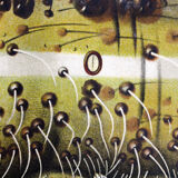 Poster of the 20th century Paul Pfurtscheller Zoological wall graphic, Caterpillar, 1911