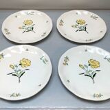 Flat plates stamped saline France