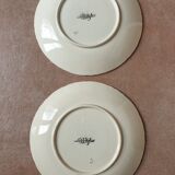 Sarreguemines plates