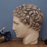 Greek head in waxed plaster