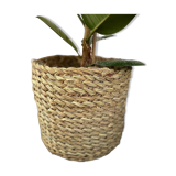 Cache pot